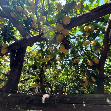 Tenuta Donna Giovanna *