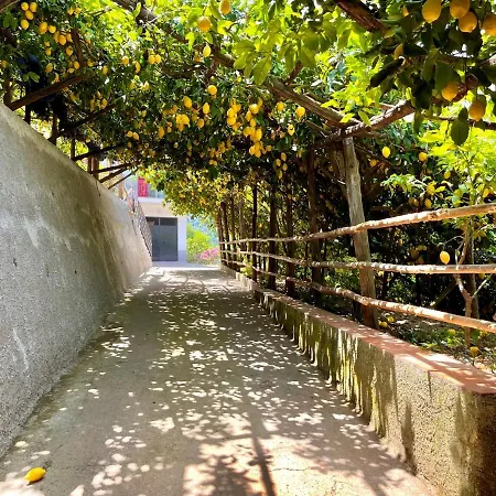 Tenuta Donna Giovanna