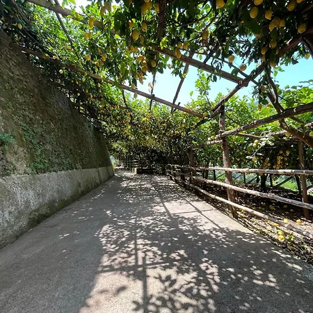 Tenuta Donna Giovanna * Maiori