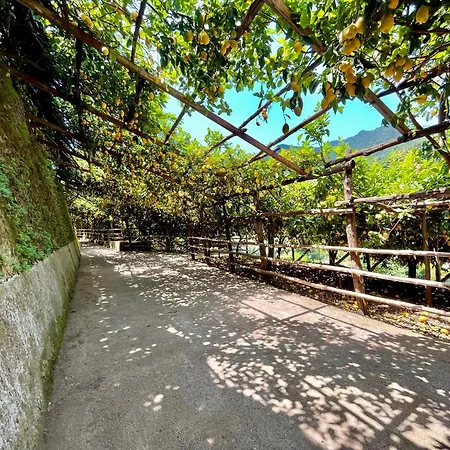 Apartment Tenuta Donna Giovanna *
